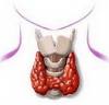 Нарушение функции щитовидной железы