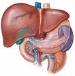 Liver and Gallbladder Disorders